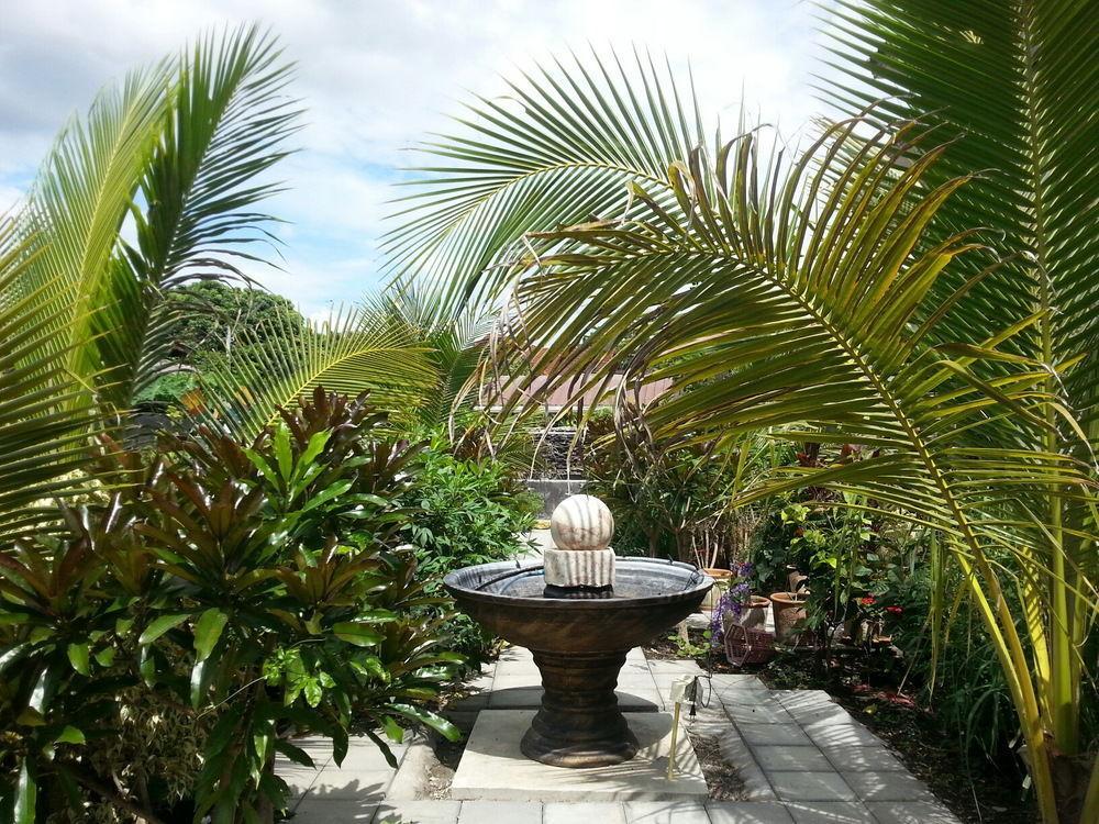Donchai House Guest House& Cafe Chiang Mai Exterior foto